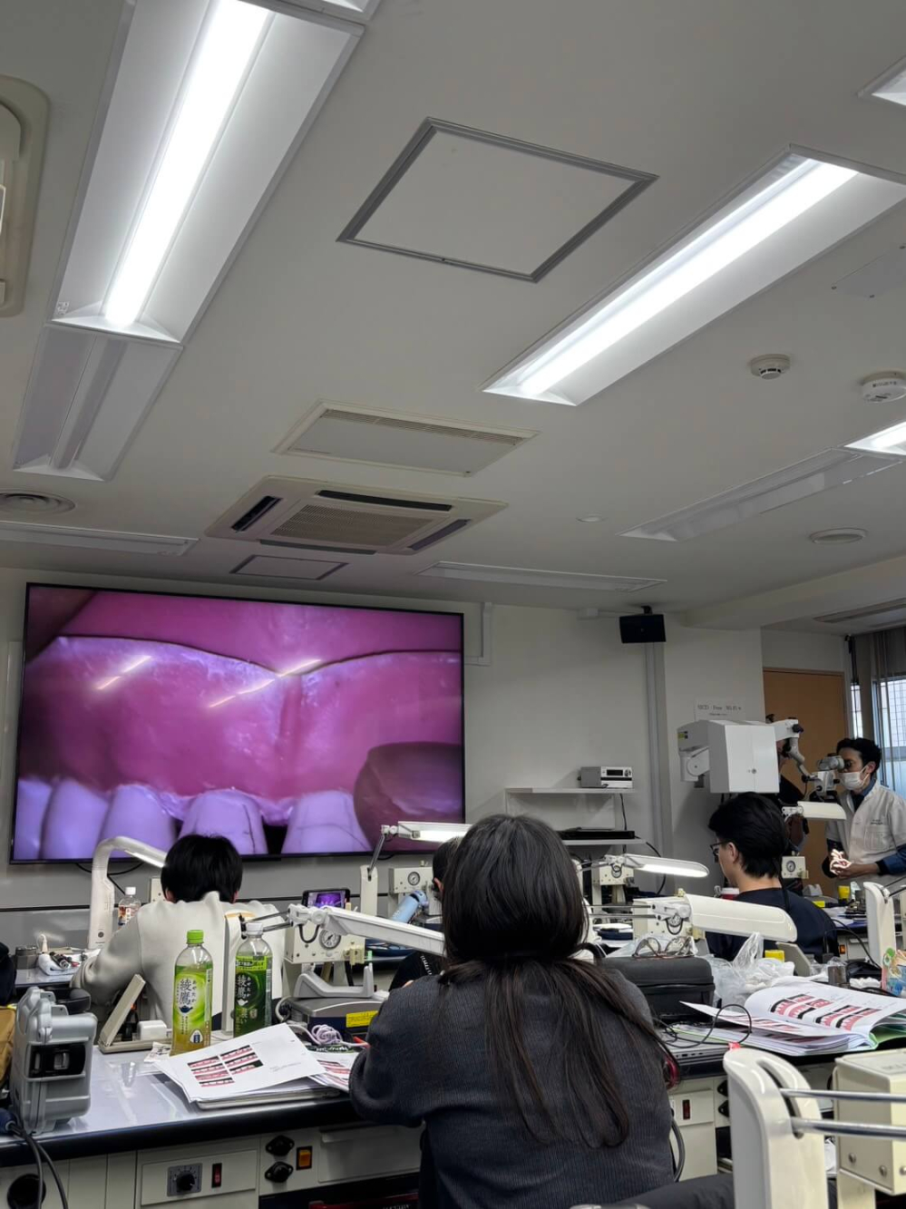 ラミネートセラミックMicデンタル名嘉眞武輝SJCDレギュラーコース